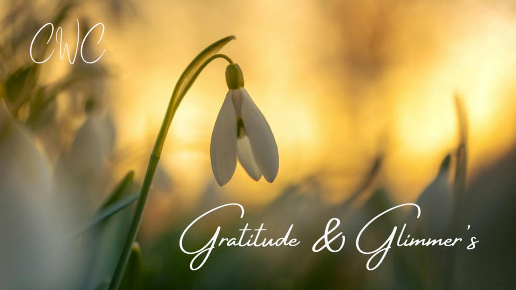 CWC Gratitude & Glimmer's Blog